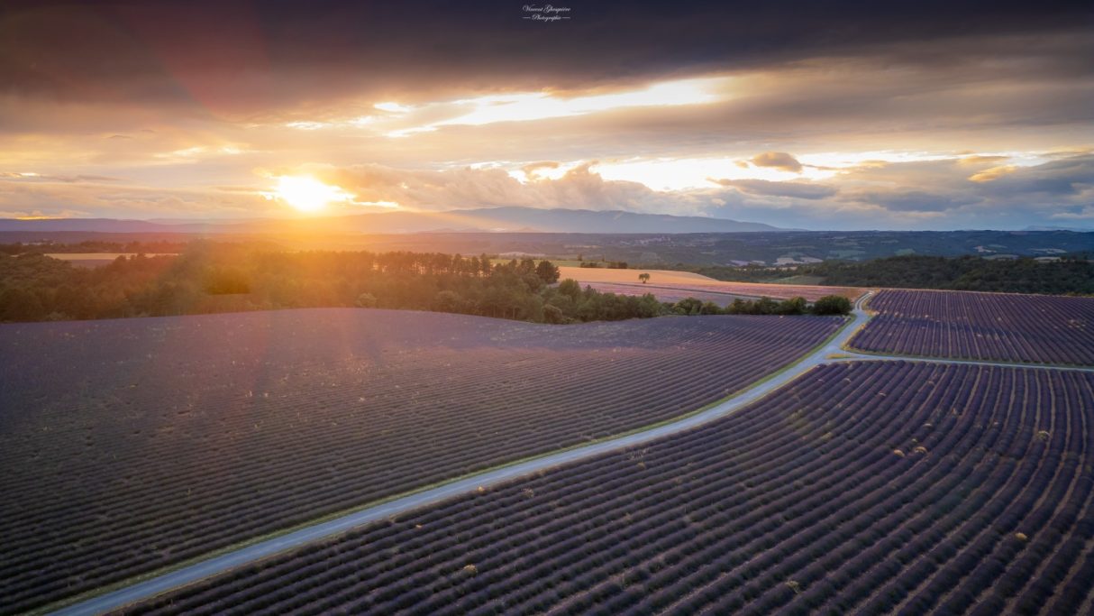 15-Mer violette au crépuscule.