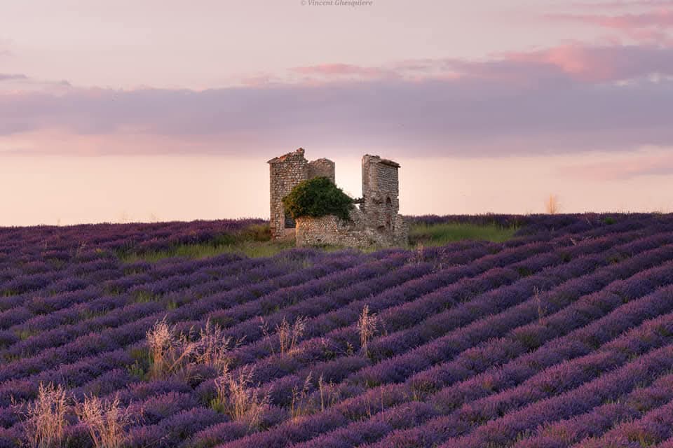 24-Entre ce qui fut et ce qui fleurit.