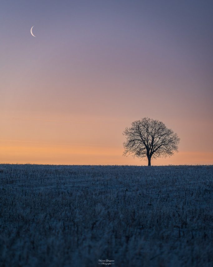 118-Crépuscule d'une lune discrète.