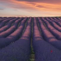 21-Vers l'infini et plus encore.