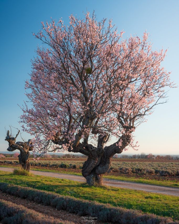 109-L'instant ou tout commence.