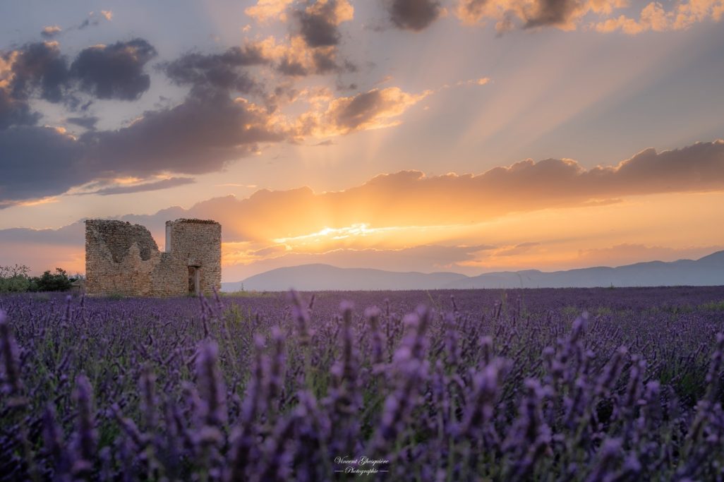 5-Lumière sur les vestiges.