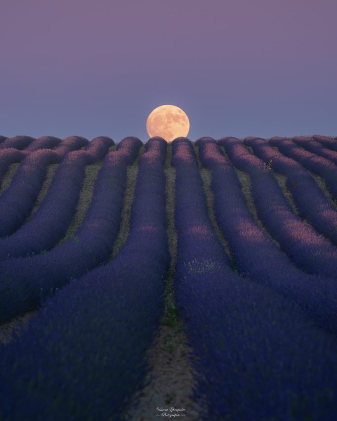28-Entre ciel et lavande, la lune se pose en silence.