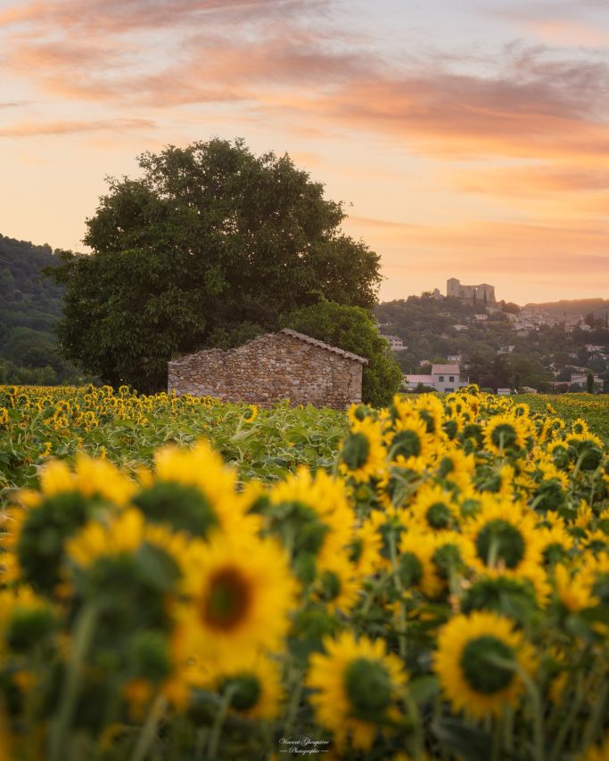 107-Un bruit qui court.