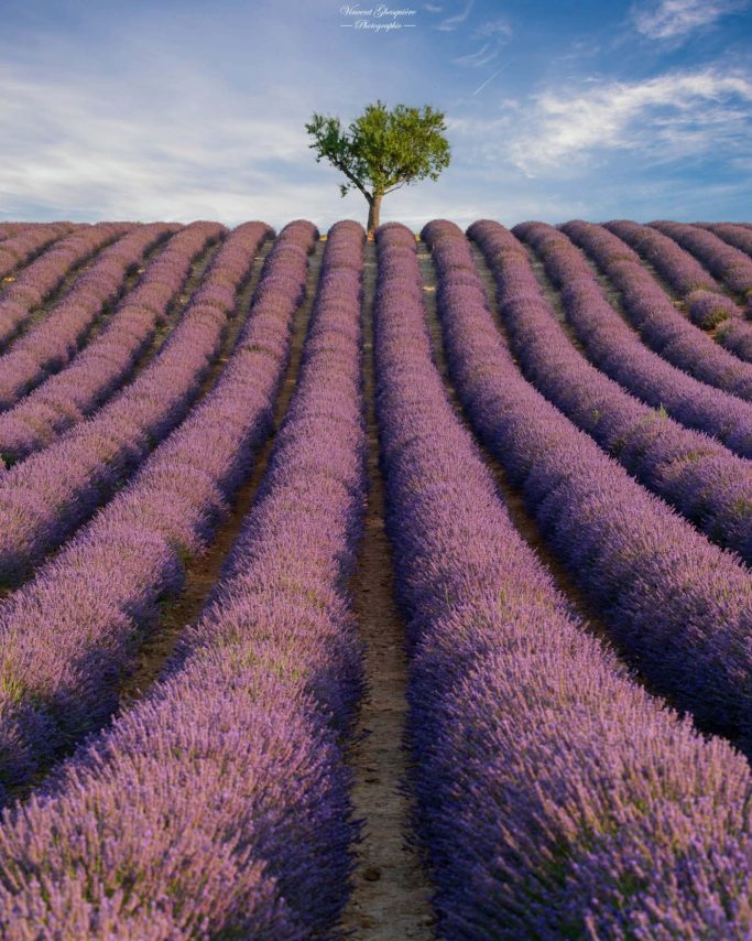 26-L'ascension violette.