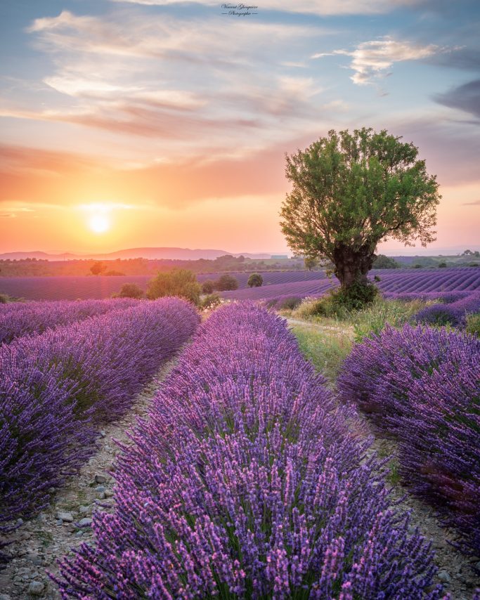 10-Sous l'étreinte du crépuscule.