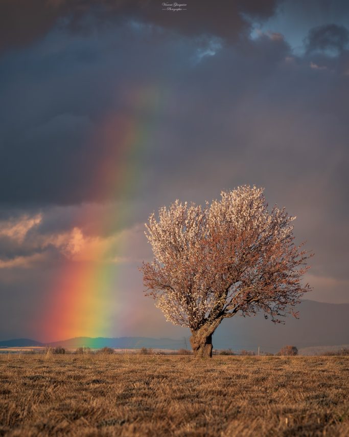 114-Quand le ciel bénit le printemps.